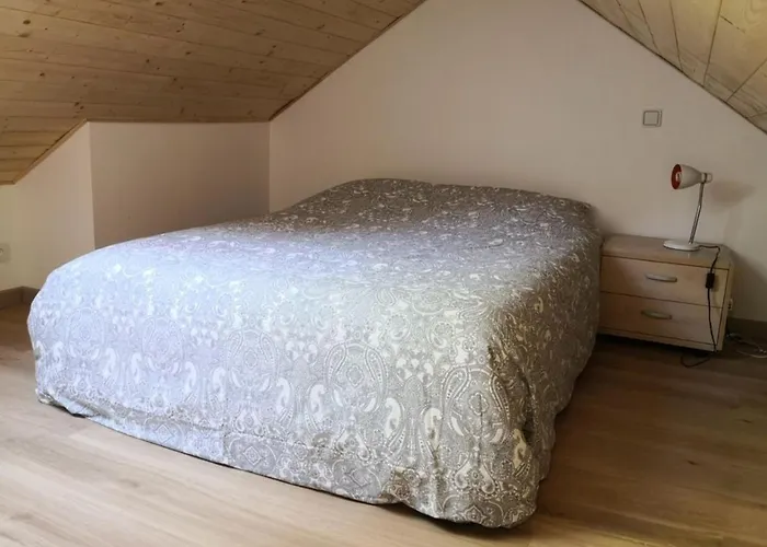 Apartment Studio Renove Avec Gout *